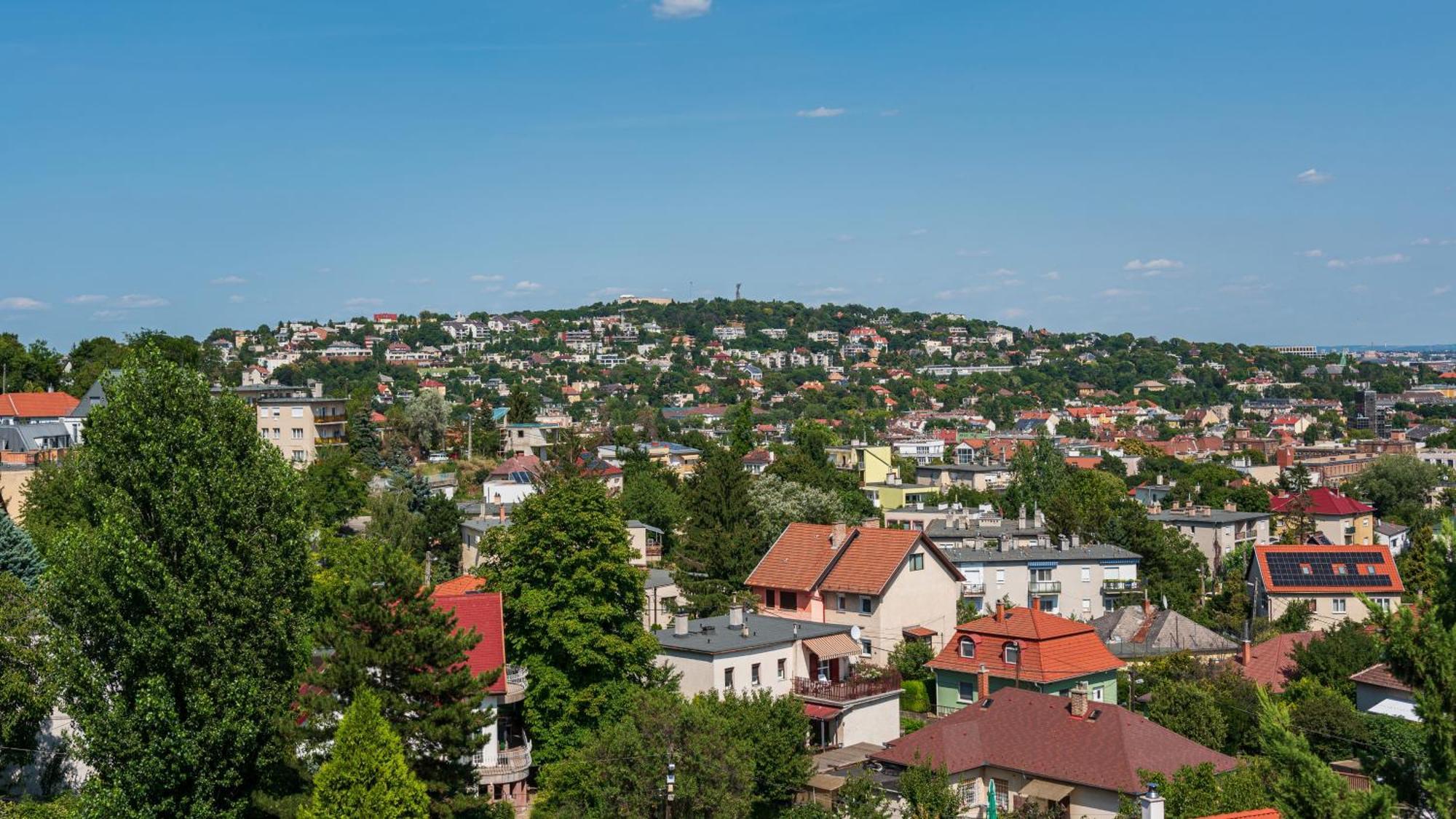 Ida Panzio Budapeszt